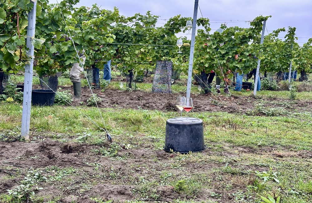 foto-8_upr.jpg