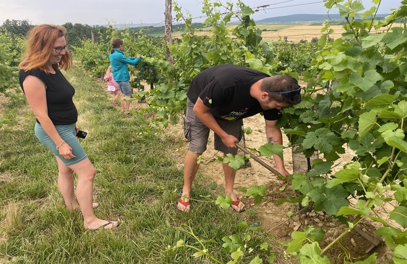 Okopávka a zelené práce: PÁTEK 20. 6. 2025