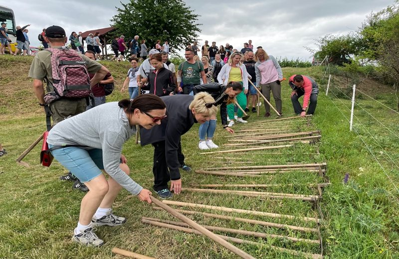 Okopávka a zelené práce: SOBOTA 22. 6. 2024