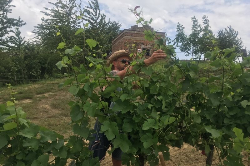 Okopávka a zelené práce: SOBOTA 13. 6. 2020